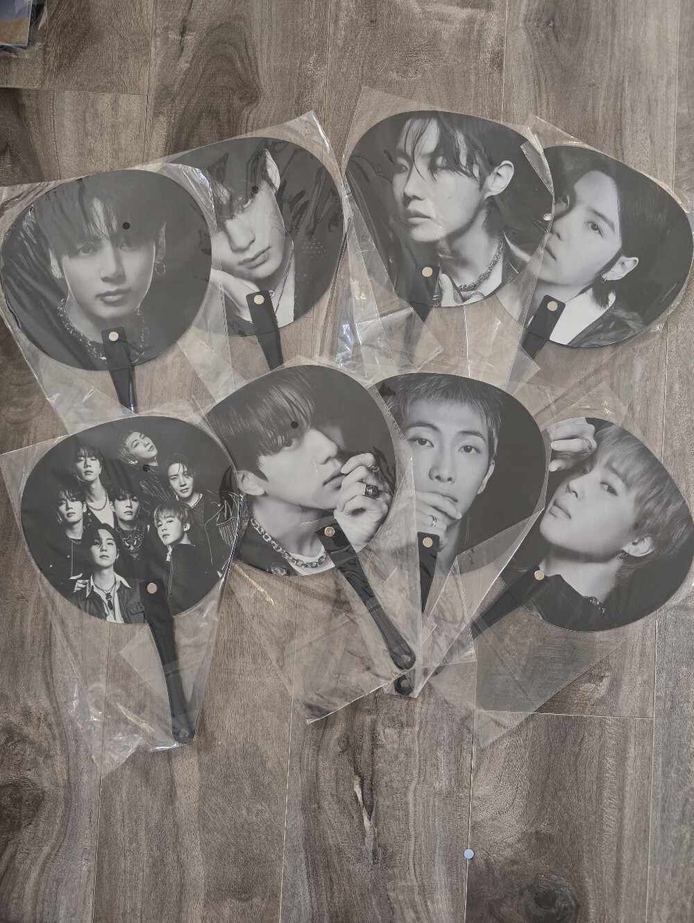 BTS fans